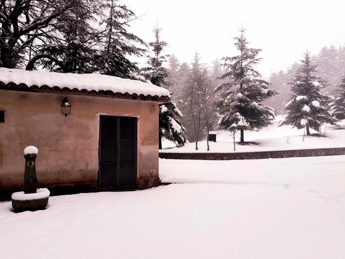 Bed and Breakfast Casa Alegria Morano Calabro Exterior foto